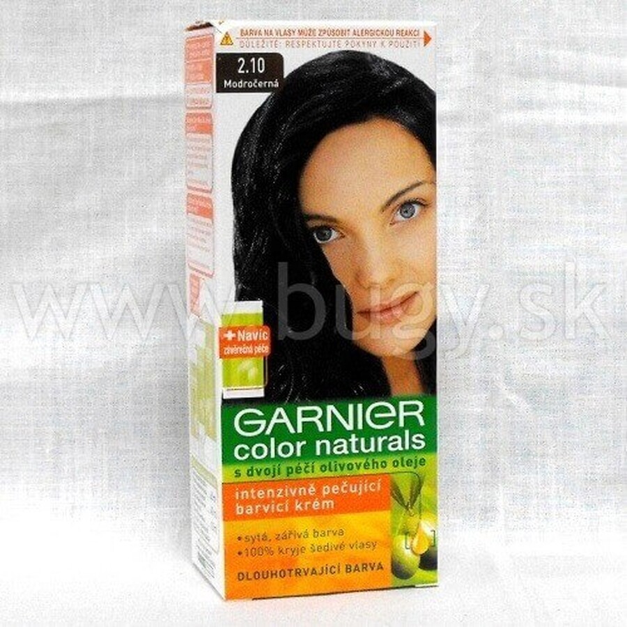 Garnier Color Naturals Permanent Hair Colour 2.10 Blue-Black 1×1 pièce, coloration de cheveux