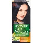 Garnier Color Naturals Permanent Hair Colour 2.10 Blue-Black 1×1 pièce, coloration de cheveux