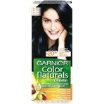 Garnier Color Naturals Permanent Hair Colour 2.10 Blue-Black 1×1 pièce, coloration de cheveux