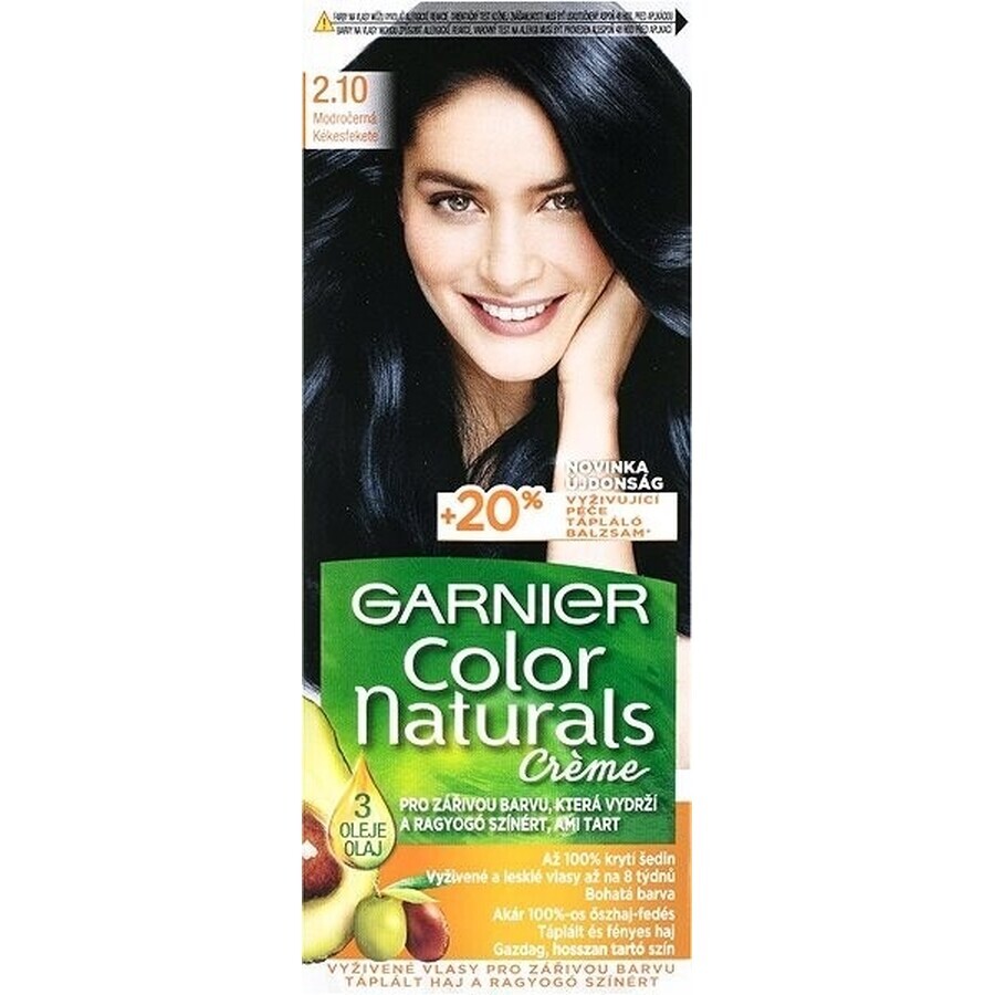 Garnier Color Naturals Permanent Hair Colour 2.10 Blue-Black 1×1 pièce, coloration de cheveux