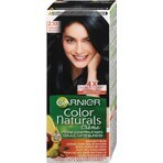 Garnier Color Naturals Permanent Hair Colour 2.10 Blue-Black 1×1 pièce, coloration de cheveux