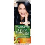 Garnier Color Naturals Permanent Hair Colour 2.10 Blue-Black 1×1 pièce, coloration de cheveux