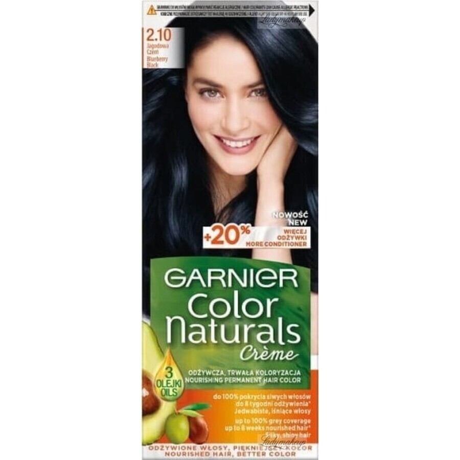 Garnier Color Naturals Permanent Hair Colour 2.10 Blue-Black 1×1 pièce, coloration de cheveux