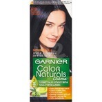 Garnier Color Naturals Permanent Hair Colour 2.10 Blue-Black 1×1 pièce, coloration de cheveux