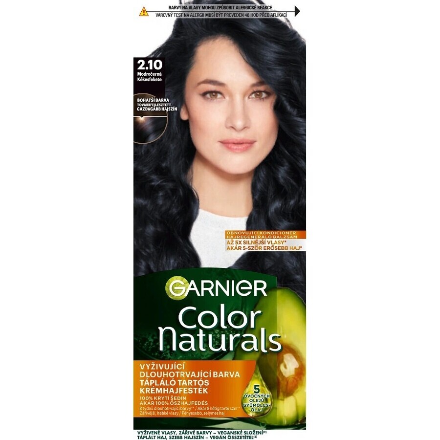 Garnier Color Naturals Permanent Hair Colour 2.10 Blue-Black 1×1 pièce, coloration de cheveux