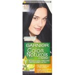 Garnier Color Naturals Permanent Hair Colour 2.10 Blue-Black 1×1 pièce, coloration de cheveux