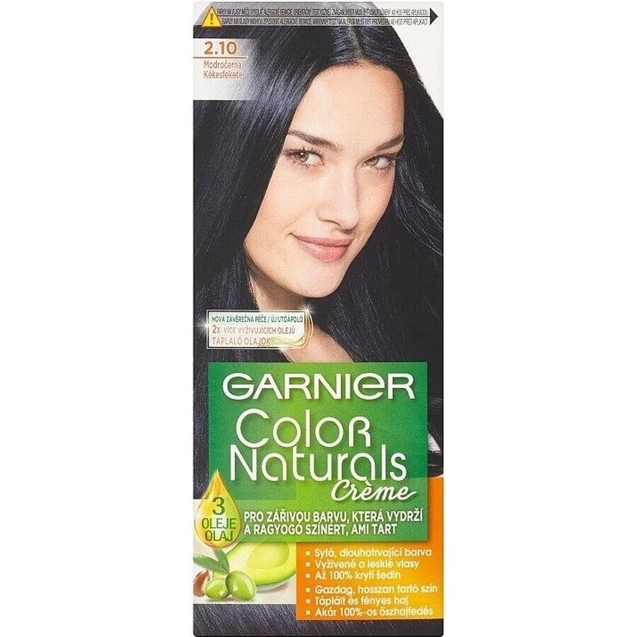 Garnier Color Naturals Permanent Hair Colour 2.10 Blue-Black 1×1 pièce, coloration de cheveux