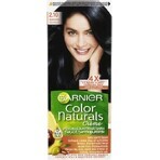 Garnier Color Naturals Permanent Hair Colour 2.10 Blue-Black 1×1 pièce, coloration de cheveux