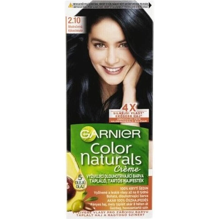 Garnier Color Naturals Permanent Hair Colour 2.10 Blue-Black 1×1 pièce, coloration de cheveux