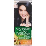 Garnier Color Naturals Permanent Hair Colour 2.10 Blue-Black 1×1 pièce, coloration de cheveux