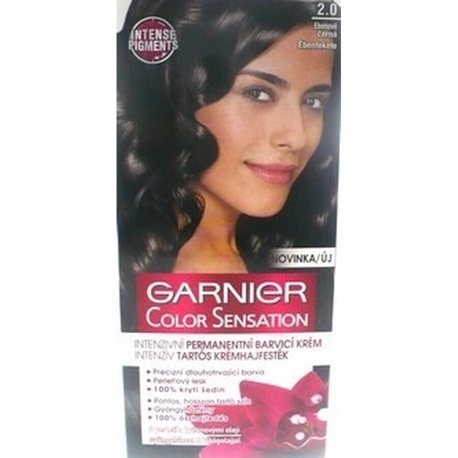 Garnier Color Naturals Colore permanente per capelli 2.0 Nero Naturale 1×1 pezzo, colore per capelli