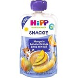 HiPP BIO KINDER Banane-Orange-Orange-Birne-Birne-Mango-Birne-Reis 1×120 g, Obst und Cerealien, 12m+