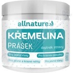 Allnature Kremelina powder 100g 1×100g