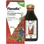 SALUS Floradix Gallexier 1×250 ml, flüssige Form