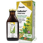 SALUS Floradix Gallexier 1×250 ml, flüssige Form