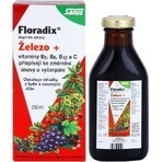 SALUS Floradix Gallexier 1×250 ml, flüssige Form