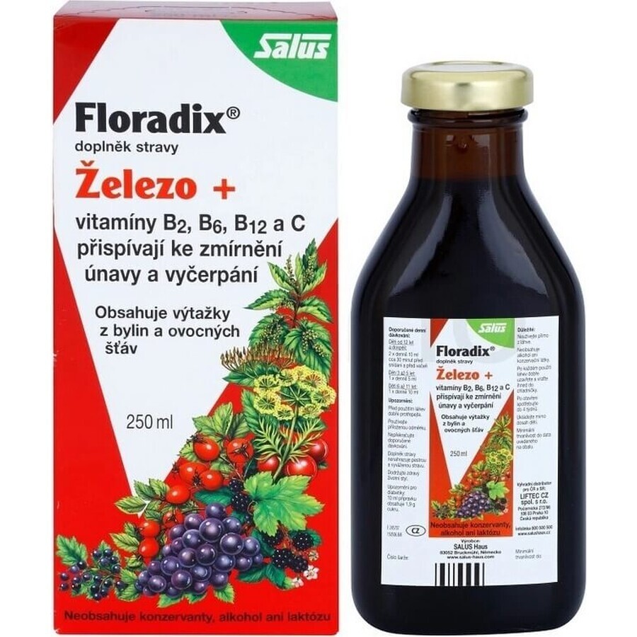 SALUS Floradix Gallexier 1×250 ml, flüssige Form