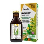 SALUS Floradix Gallexier 1×250 ml, flüssige Form