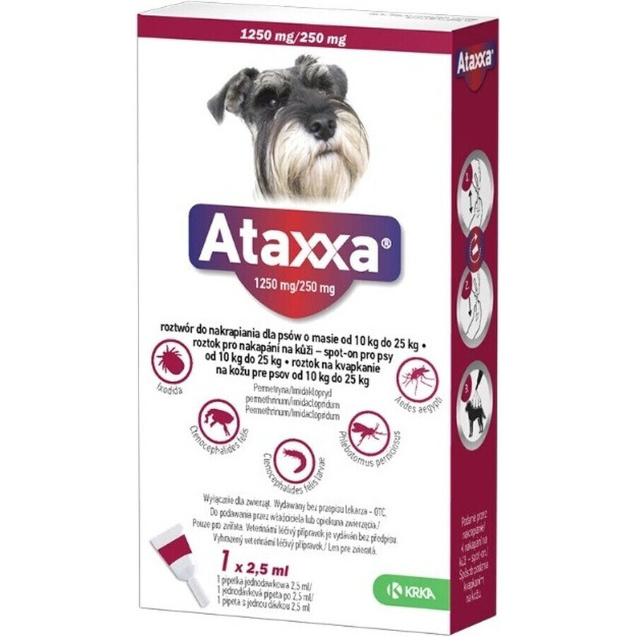 Ataxxa 1250 mg/250 mg (perros de 10 kg a 25 kg) 1×2,5 ml, solución para perros