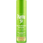 Plantur 39 Shampoo mit Phyto-Coffein für farbbehandeltes Haar 1×250 ml, Shampoo mit Coffein