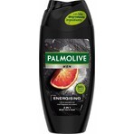 Palmolive Men Energising Douchegel 1×250 ml voor mannen