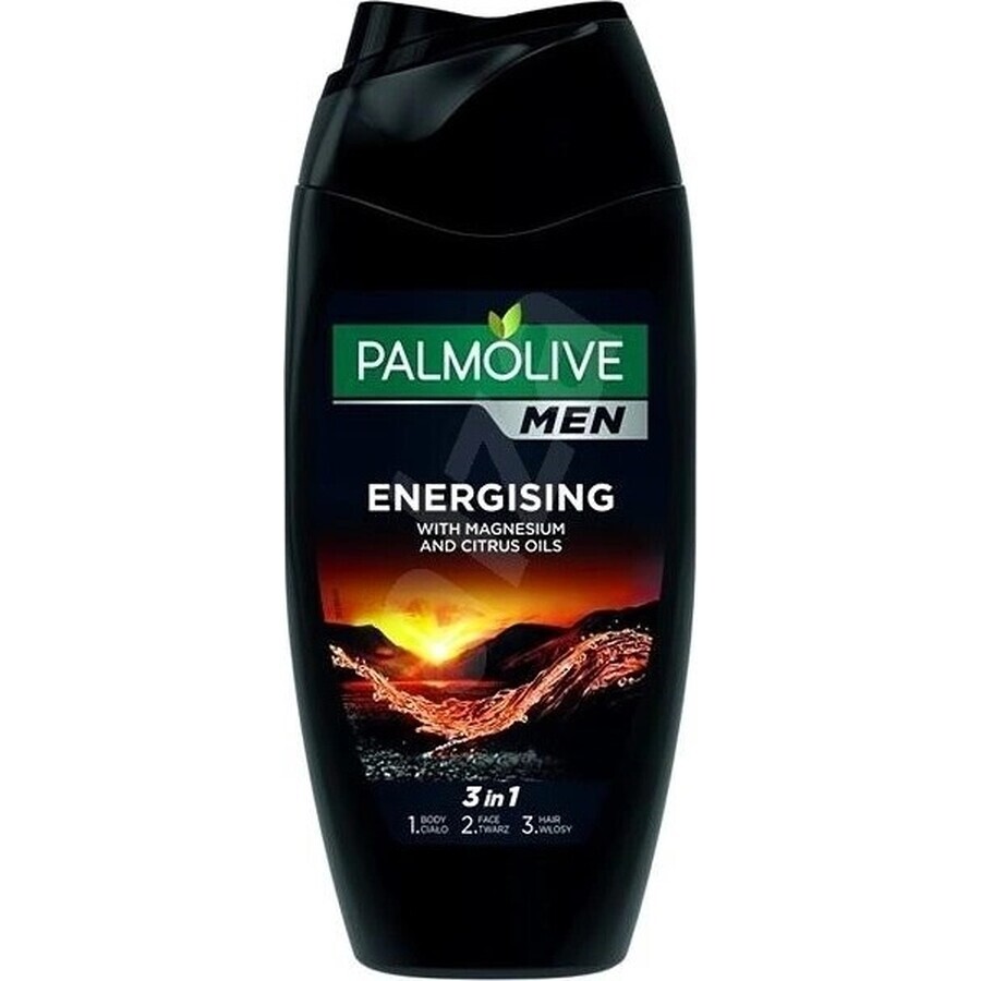 Palmolive Men Energising Douchegel 1×250 ml voor mannen