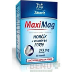 ZDROVIT MAXI MAG HORCIK+B6 FORTE 1×50 cps, Nahrungsergänzungsmittel