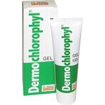 Dr. Müller DERMO CHLOROPHYL GEL 1×50 ml, skin gel