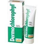 Dr. Müller DERMO CHLOROPHYL GEL 1×50 ml, skin gel