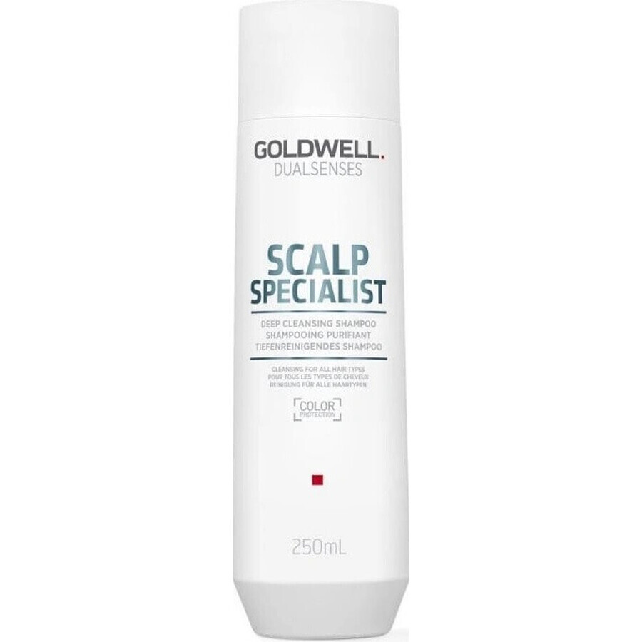 Goldwell Shampooing moussant pour peaux sensibles Spécialiste du cuir chevelu Dualsenses 1×250 ml, shampooing moussant