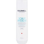 Goldwell Shampooing moussant pour peaux sensibles Spécialiste du cuir chevelu Dualsenses 1×250 ml, shampooing moussant