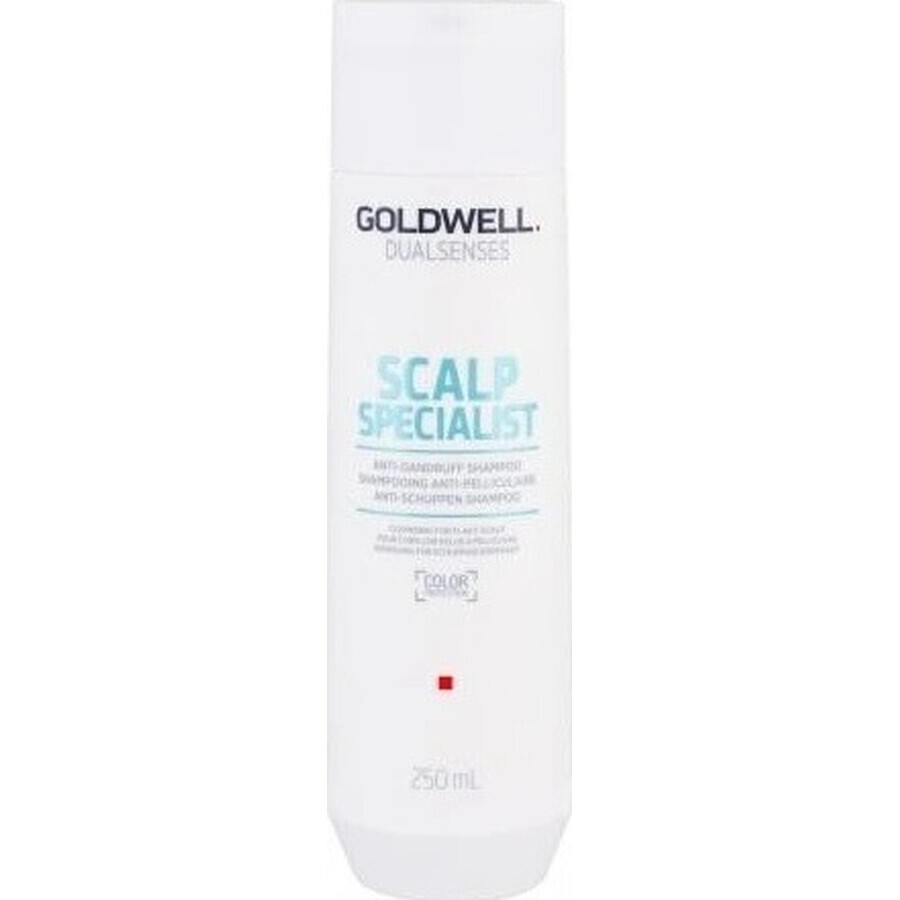 Goldwell Shampooing moussant pour peaux sensibles Spécialiste du cuir chevelu Dualsenses 1×250 ml, shampooing moussant