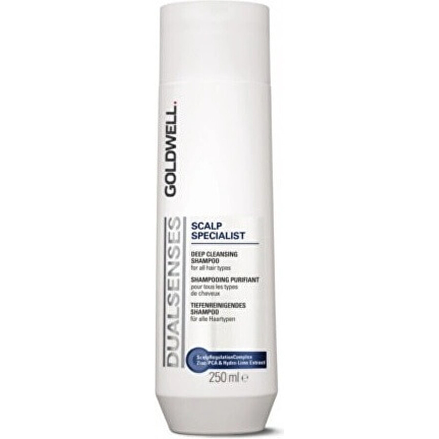 Goldwell Shampooing moussant pour peaux sensibles Spécialiste du cuir chevelu Dualsenses 1×250 ml, shampooing moussant