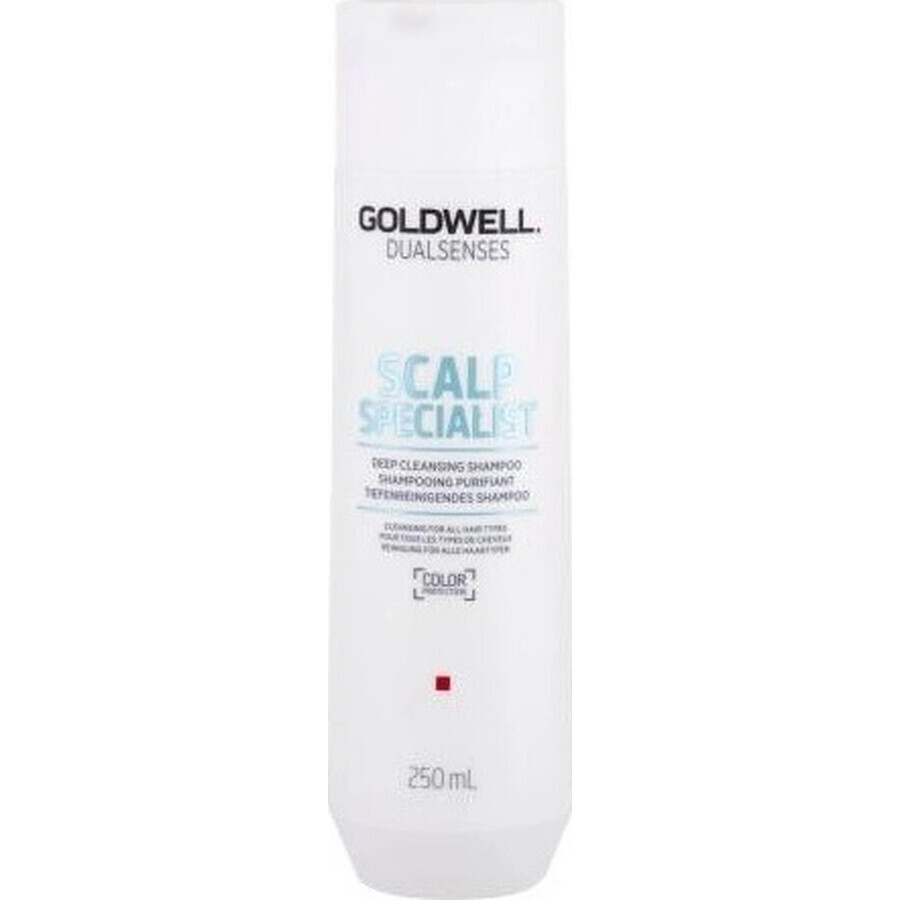 Goldwell Shampooing moussant pour peaux sensibles Spécialiste du cuir chevelu Dualsenses 1×250 ml, shampooing moussant