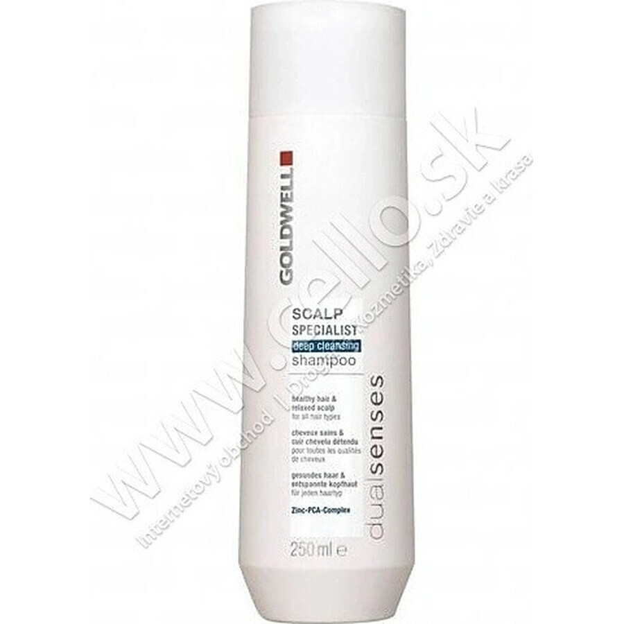 Goldwell Shampooing moussant pour peaux sensibles Spécialiste du cuir chevelu Dualsenses 1×250 ml, shampooing moussant