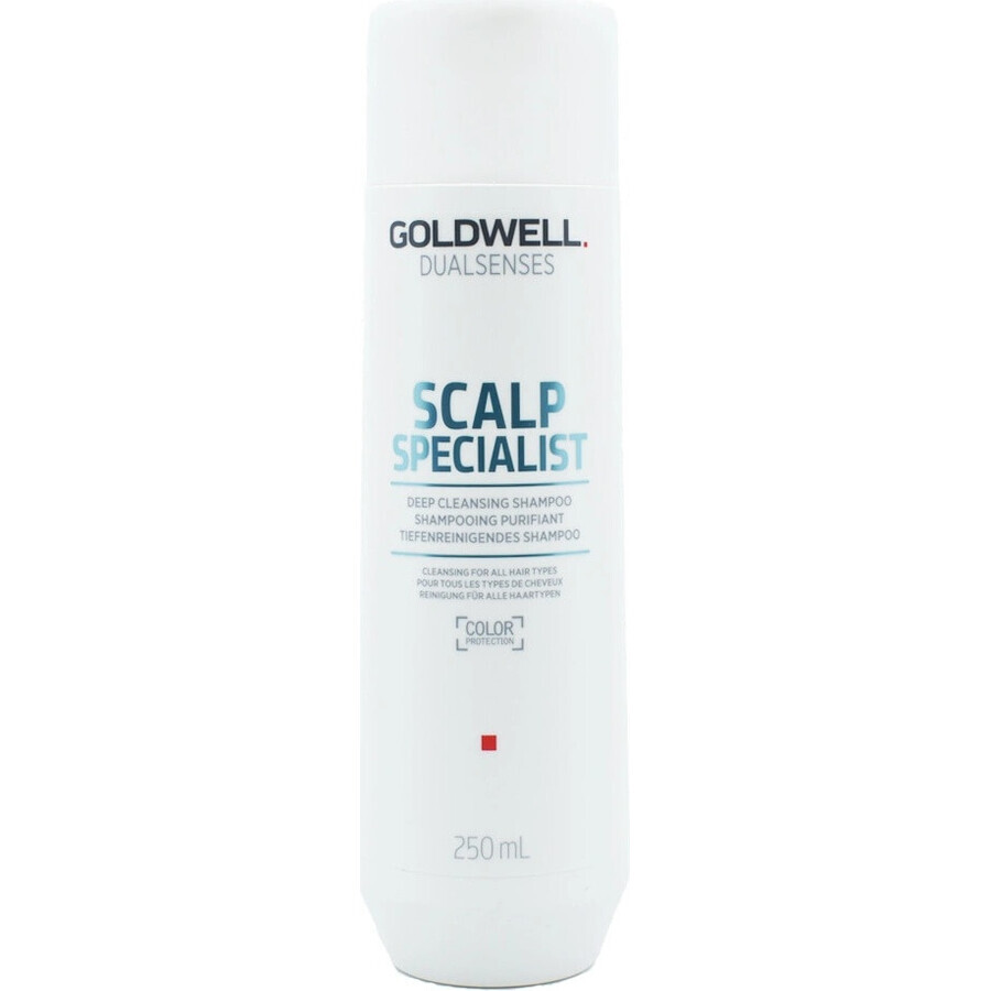 Goldwell Shampooing moussant pour peaux sensibles Spécialiste du cuir chevelu Dualsenses 1×250 ml, shampooing moussant