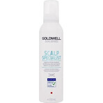 Goldwell Shampooing moussant pour peaux sensibles Spécialiste du cuir chevelu Dualsenses 1×250 ml, shampooing moussant