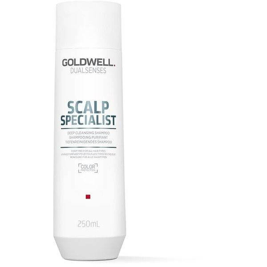 Goldwell Shampooing moussant pour peaux sensibles Spécialiste du cuir chevelu Dualsenses 1×250 ml, shampooing moussant