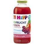 HiPP Bio-Birnensaft 1×200 ml, 100% Birnensaft