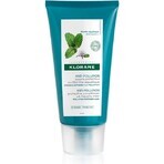 KLORANE BAUME À LA MENTHE 1×150 ml, haarconditioner met muntwater