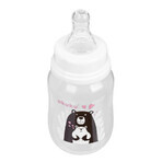 AKUKU, biberon cu gaură îngustă, cu tetină rotundă din silicon cu flux lent, Teddy Bear, A0004, de la naștere, 125 ml