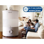 Levoit Dual 150, air humidifier, 1 pc