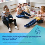 Canpol Babies, breathable, highly absorbent postnatal pads, 10 pieces + 2 pieces free of charge