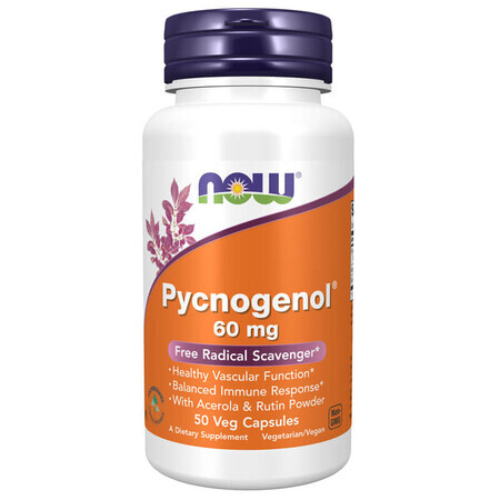 Now Foods Pycnogenol 60 mg, 50 cápsulas