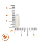 SEMA Lab Kalium, 60 Hartkapseln