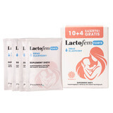 Lactofem Forte, classic flavor, 10 sachets + 4 free sachets