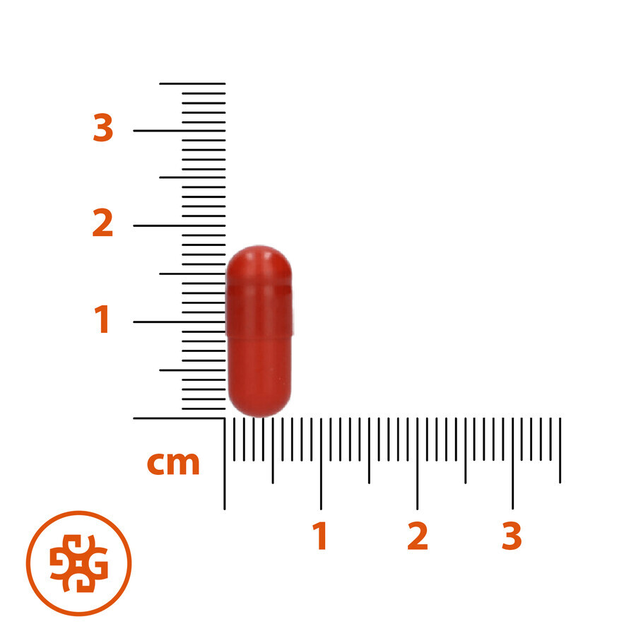 SEMA Lab Eisen + Vitamin C, 60 Hartkapseln