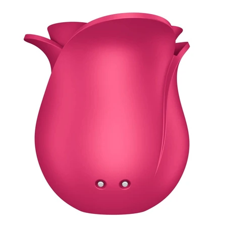 Satisfyer Pro 2 Modern Blossom, berührungslose Klitorismassage, Luft, Rose