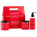 Sylveco Winter Body Kit, Körperpeeling, 265 g + Körperbutter, 150 ml + Duschgel, 250 ml