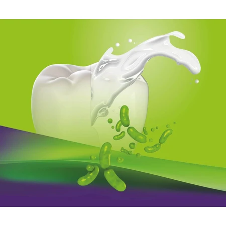 ApaCare OraLactin, pastă de dinți remineralizantă cu probiotice, 75 ml